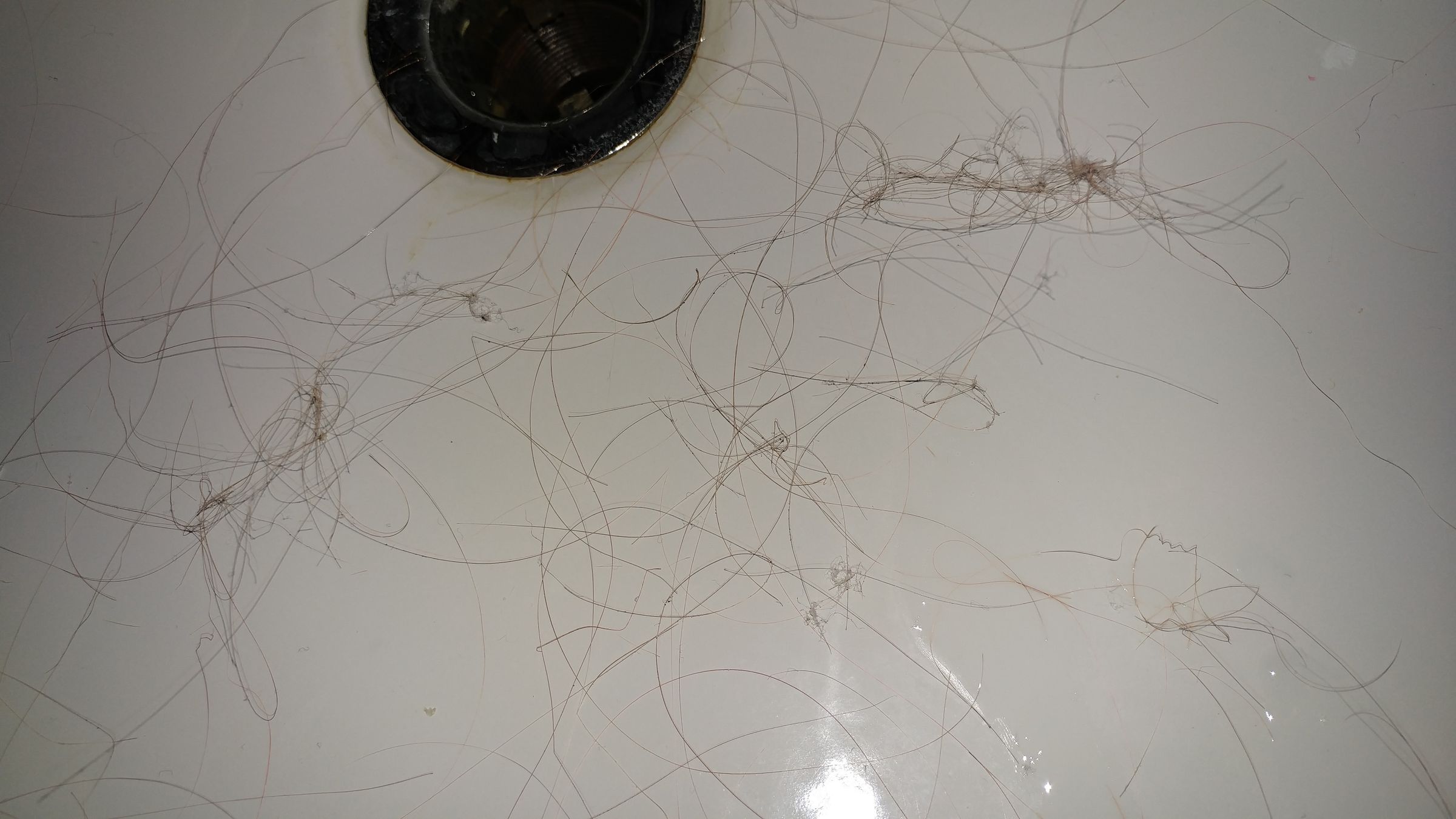 How to Kill Lice 4 Steps Instructables