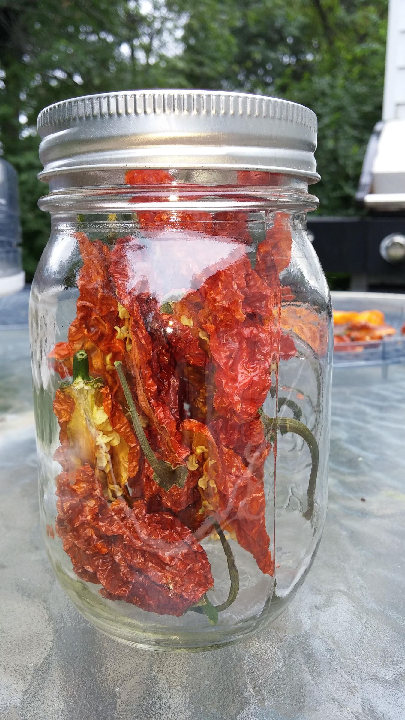 Hot Pepper Preservation 5 Steps (with Pictures) Instructables