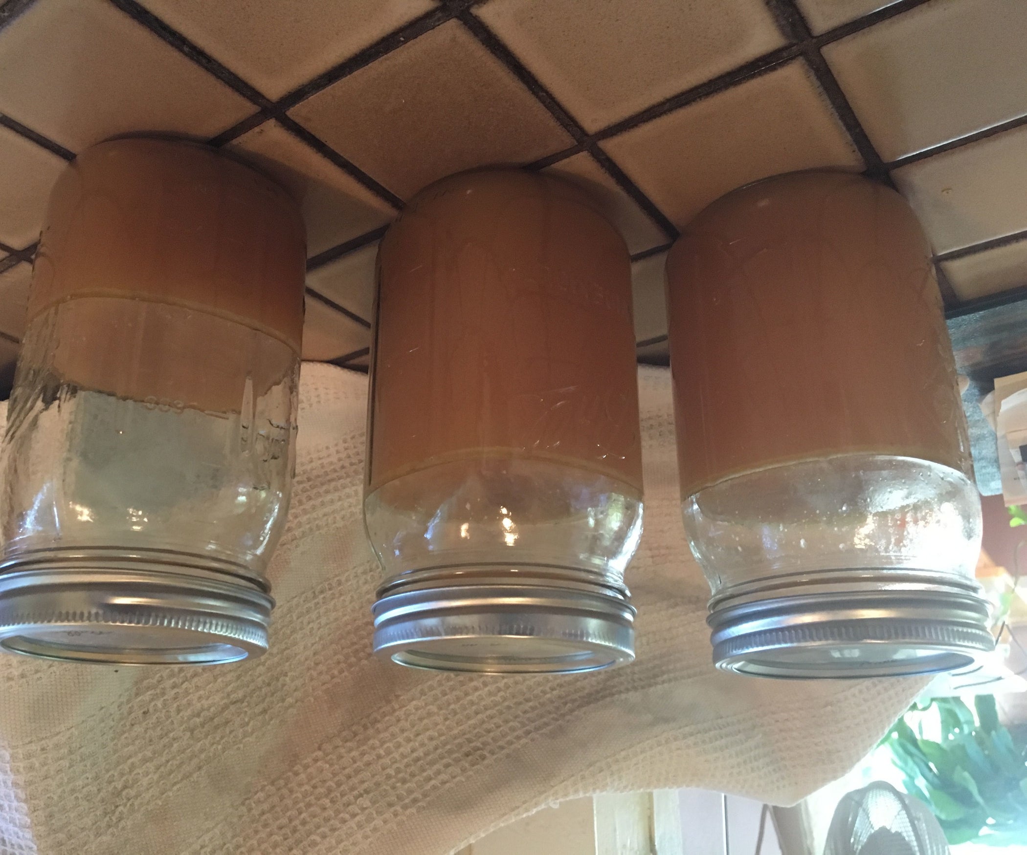 Make Your Own Chicken (or Beef) Broth 7 Steps (with Pictures