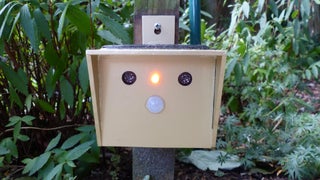 cat repellent 4 steps with pictures instructables