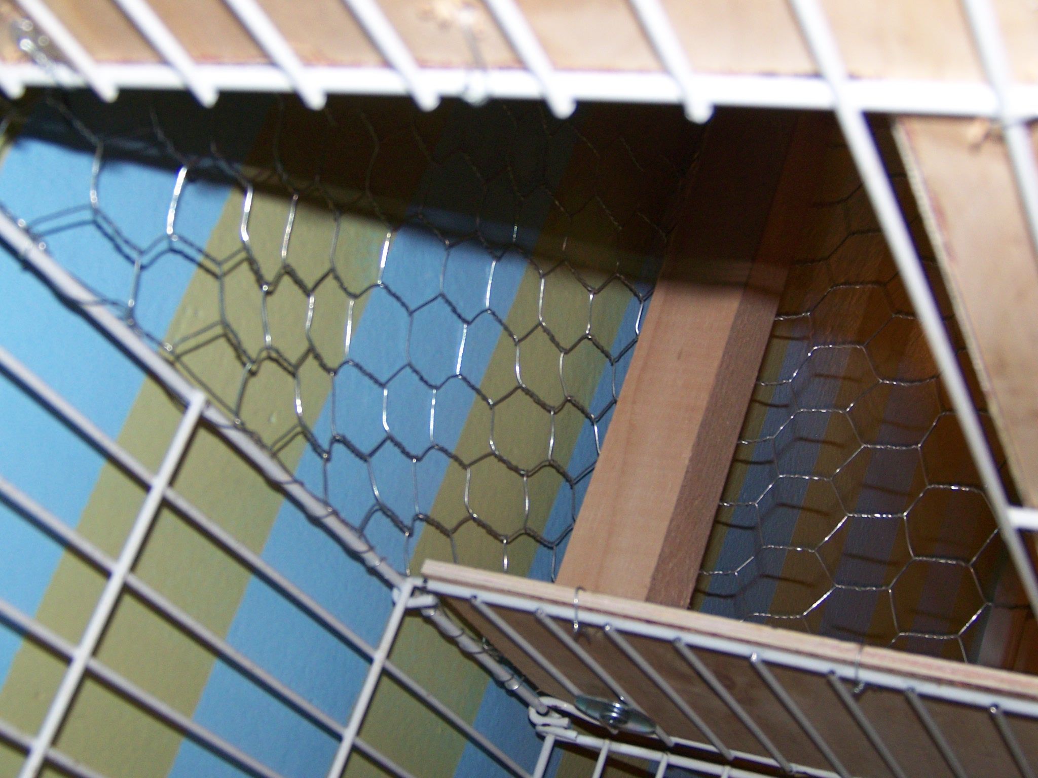 Make Your Chinchilla's Cage Bigger. 6 Steps (with Pictures