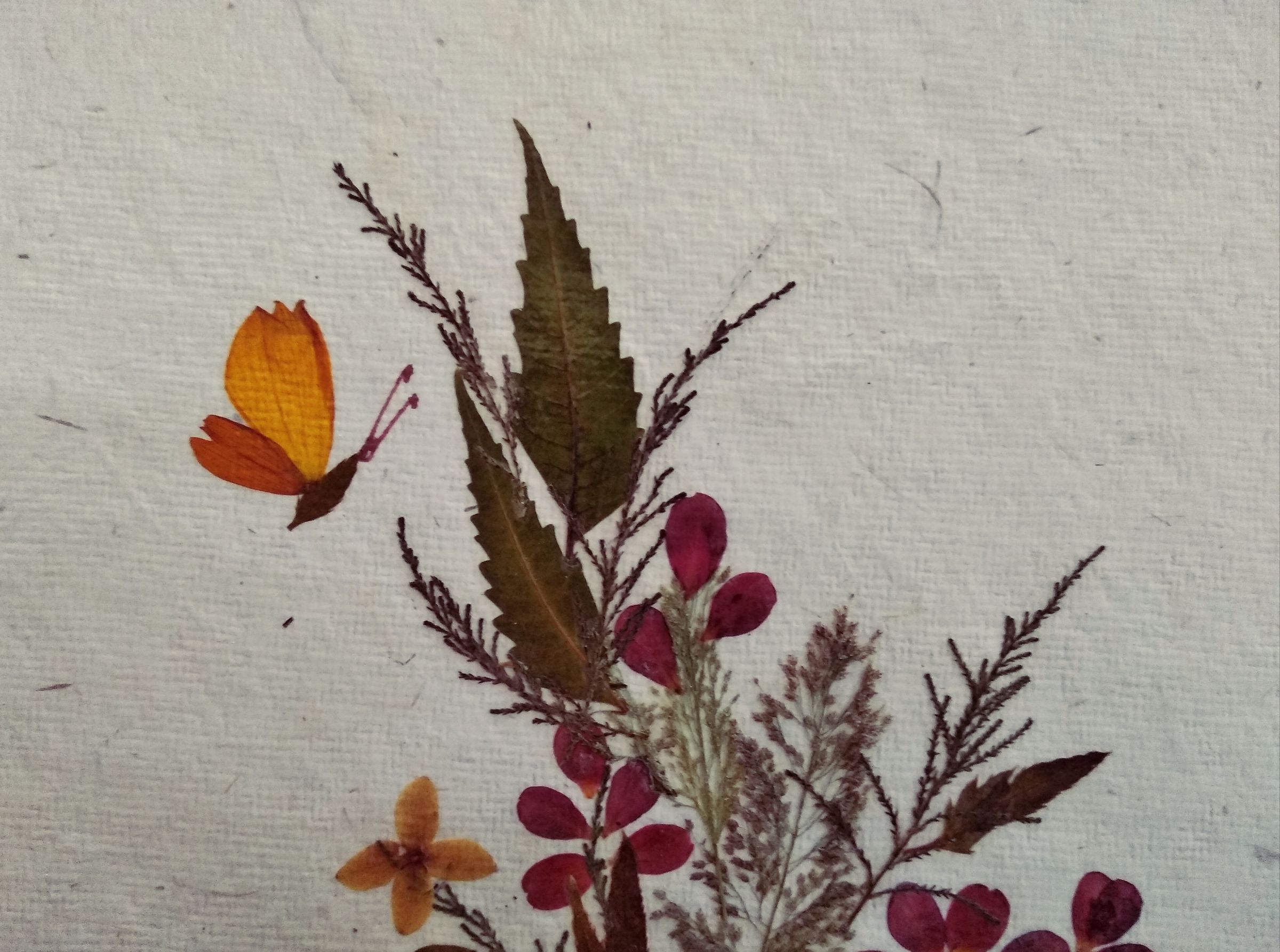 Dry Flower Art 4 Steps (with Pictures) Instructables