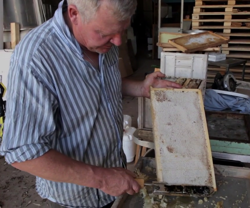 How to Extract Honey From Honeycomb
