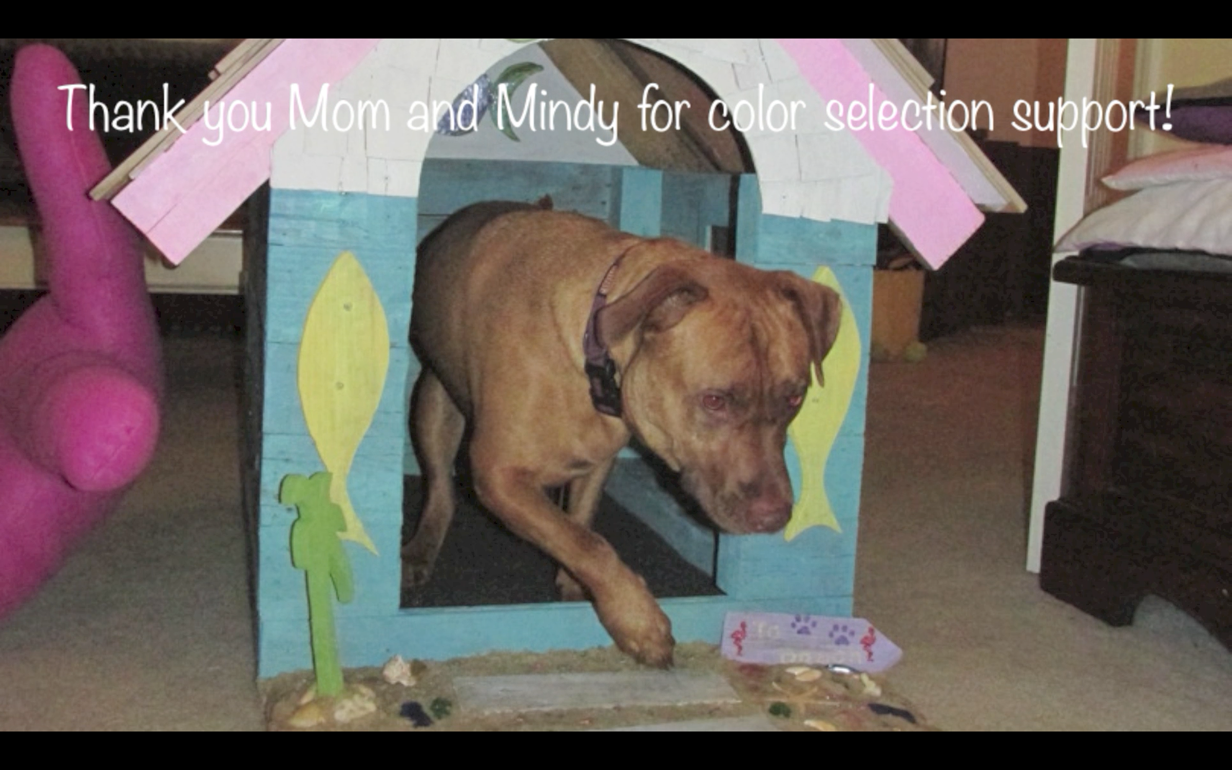 Doghouse Beach House DIY Using Recycled/Repurposed Materials 23