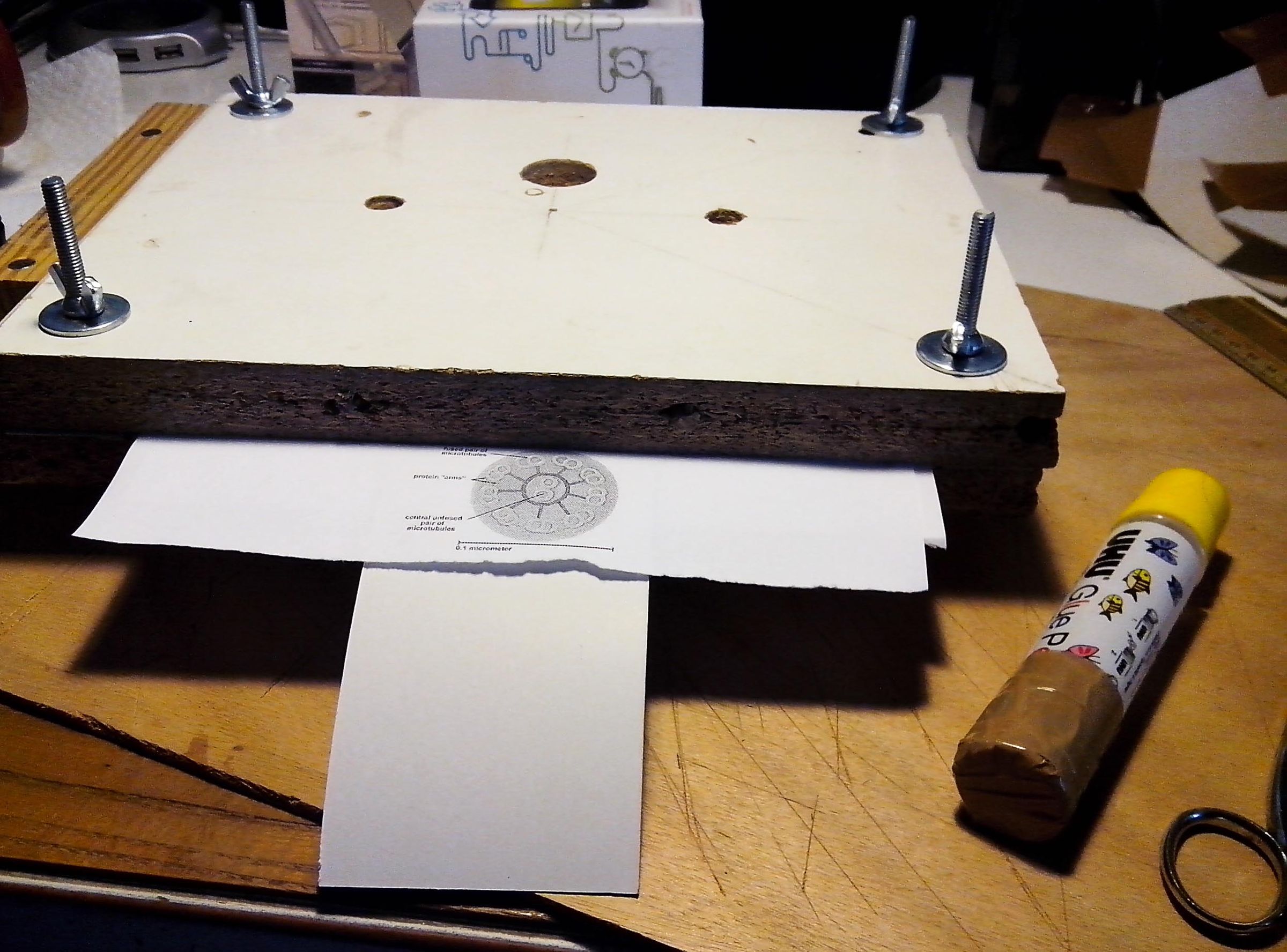 How to Digitize Slides and Film Negatives With a DSLR 12 Steps (with