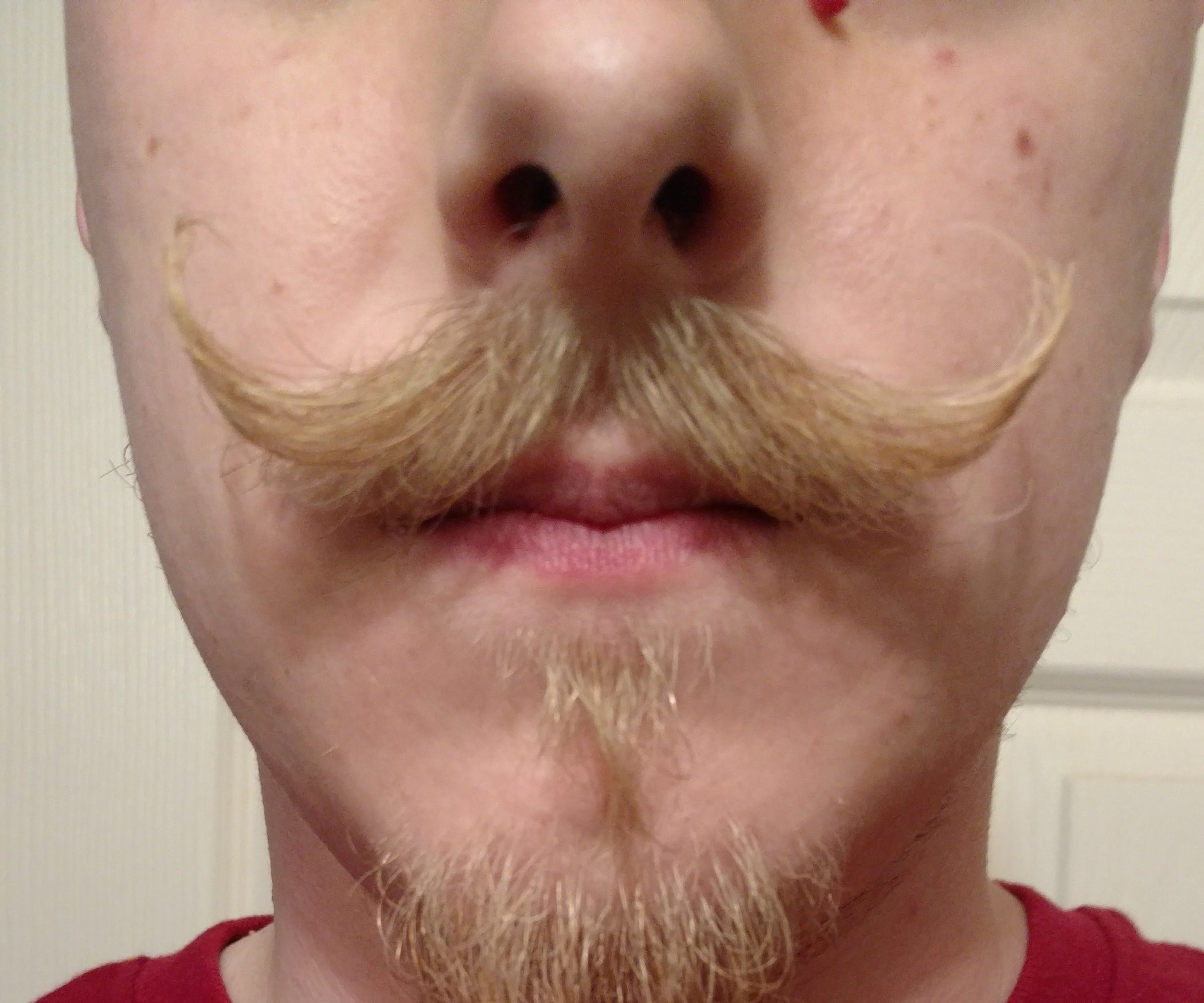 6 Month! Blonde Mustache Handlebar 6 Steps Instructables
