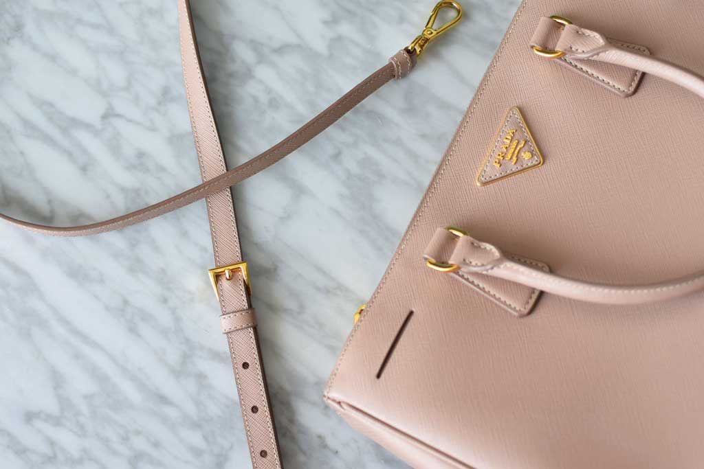 purse without straps