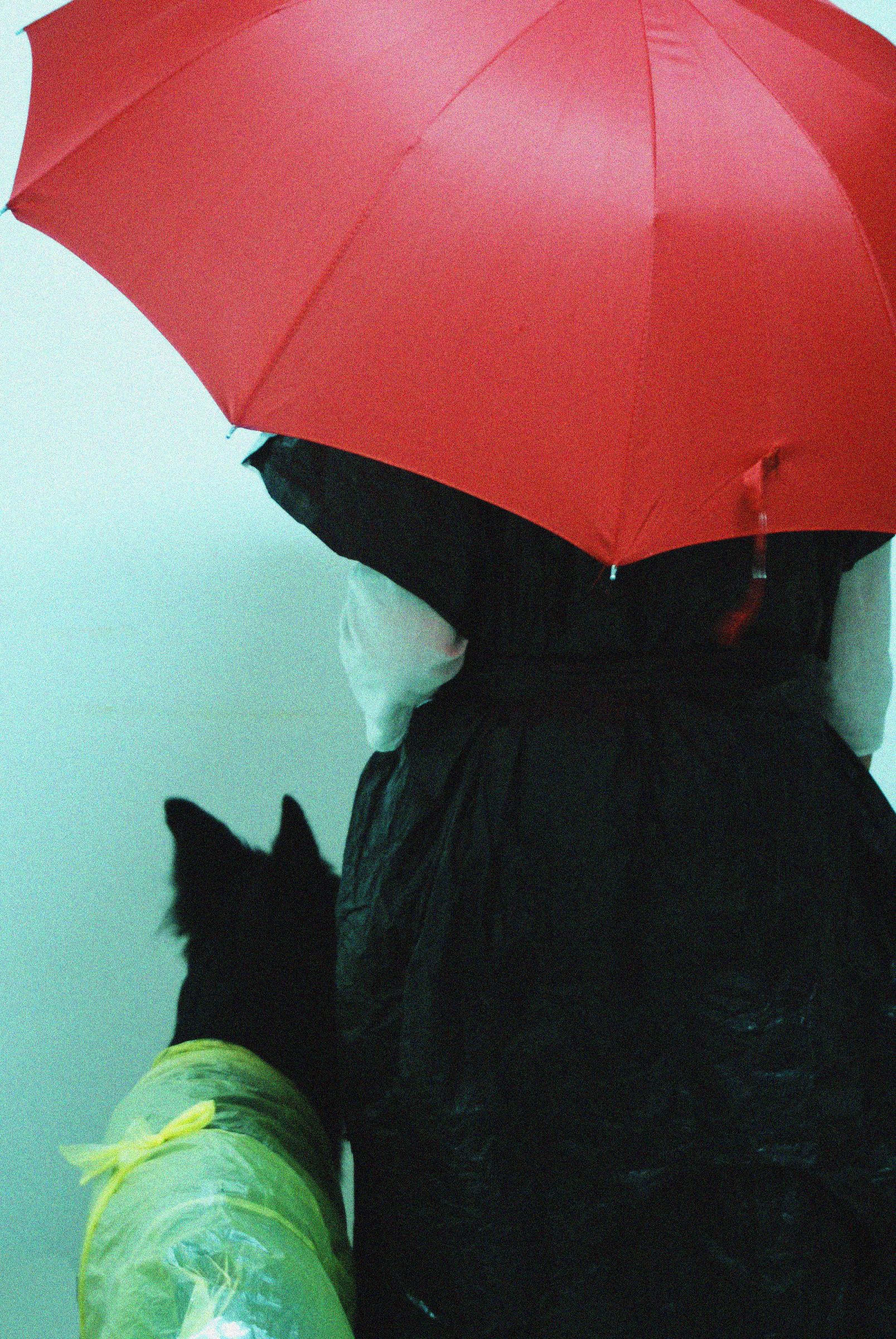 Trashbag Raincoat for Dog & Owner 3 Steps Instructables