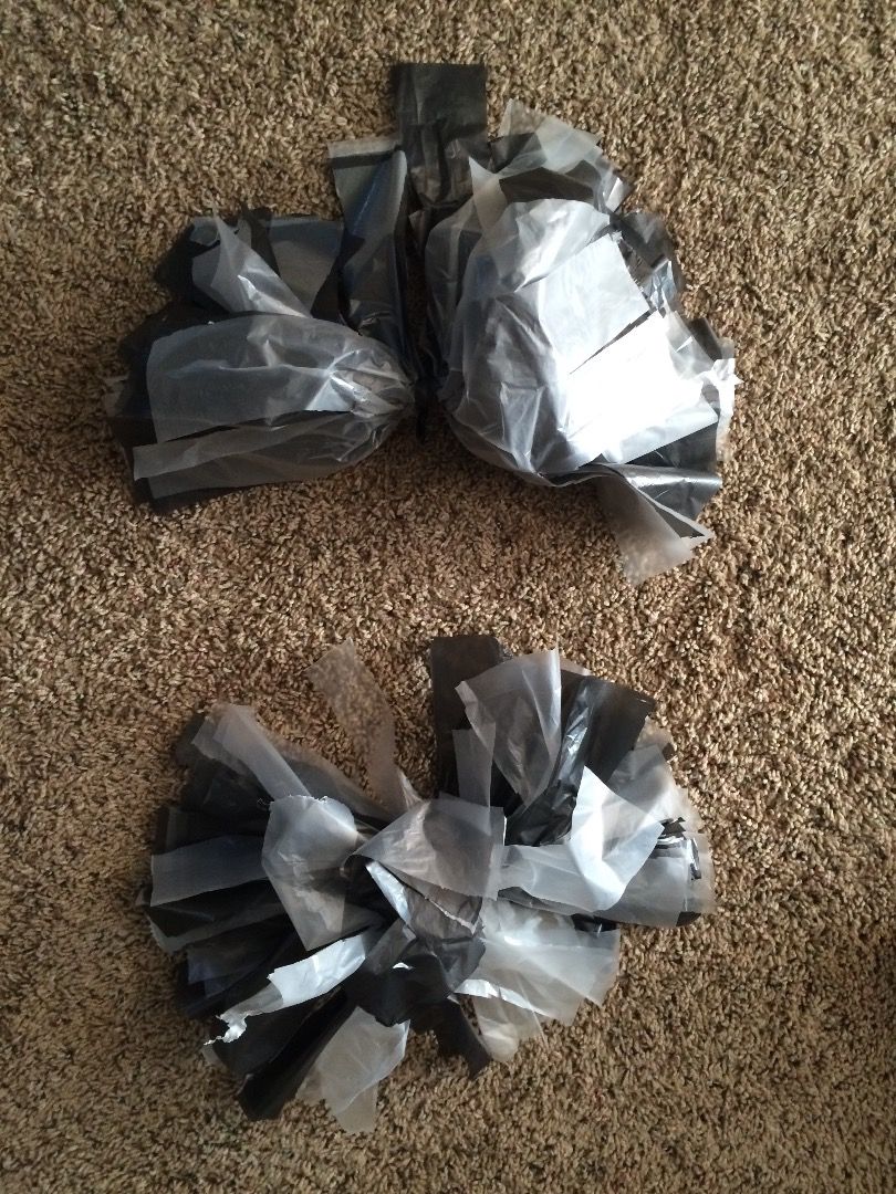 bag pom poms