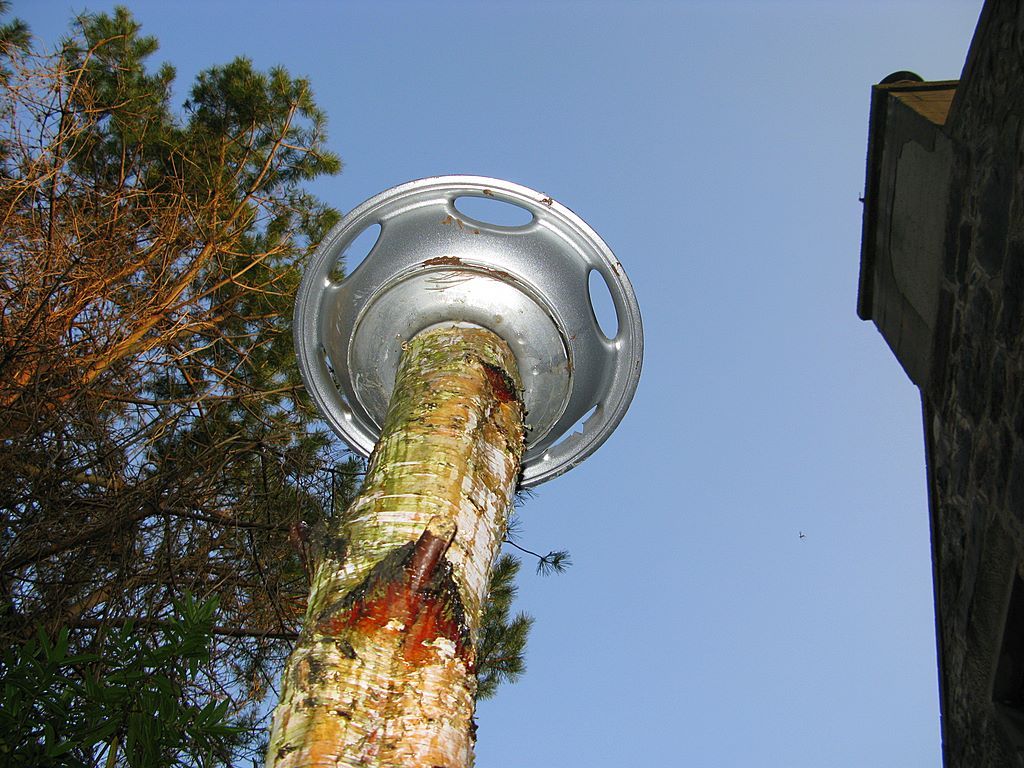 Catproof Birdbath 14 Steps (with Pictures) Instructables