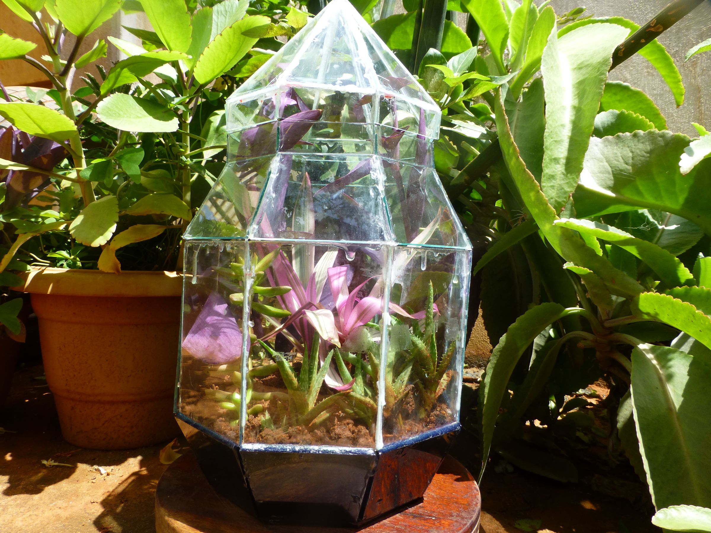 Stained Glass Terrarium: a Weekend Project
