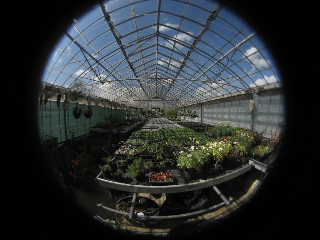 Cheap Fisheye Lens 5 Steps (with Pictures) Instructables