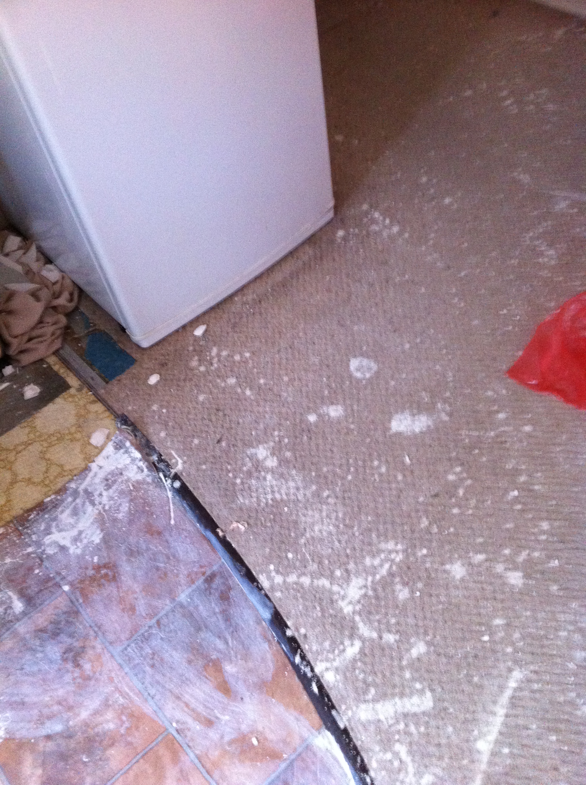 A Whiter, Brighter Vermiculite Ceiling Painting by Roller... 12