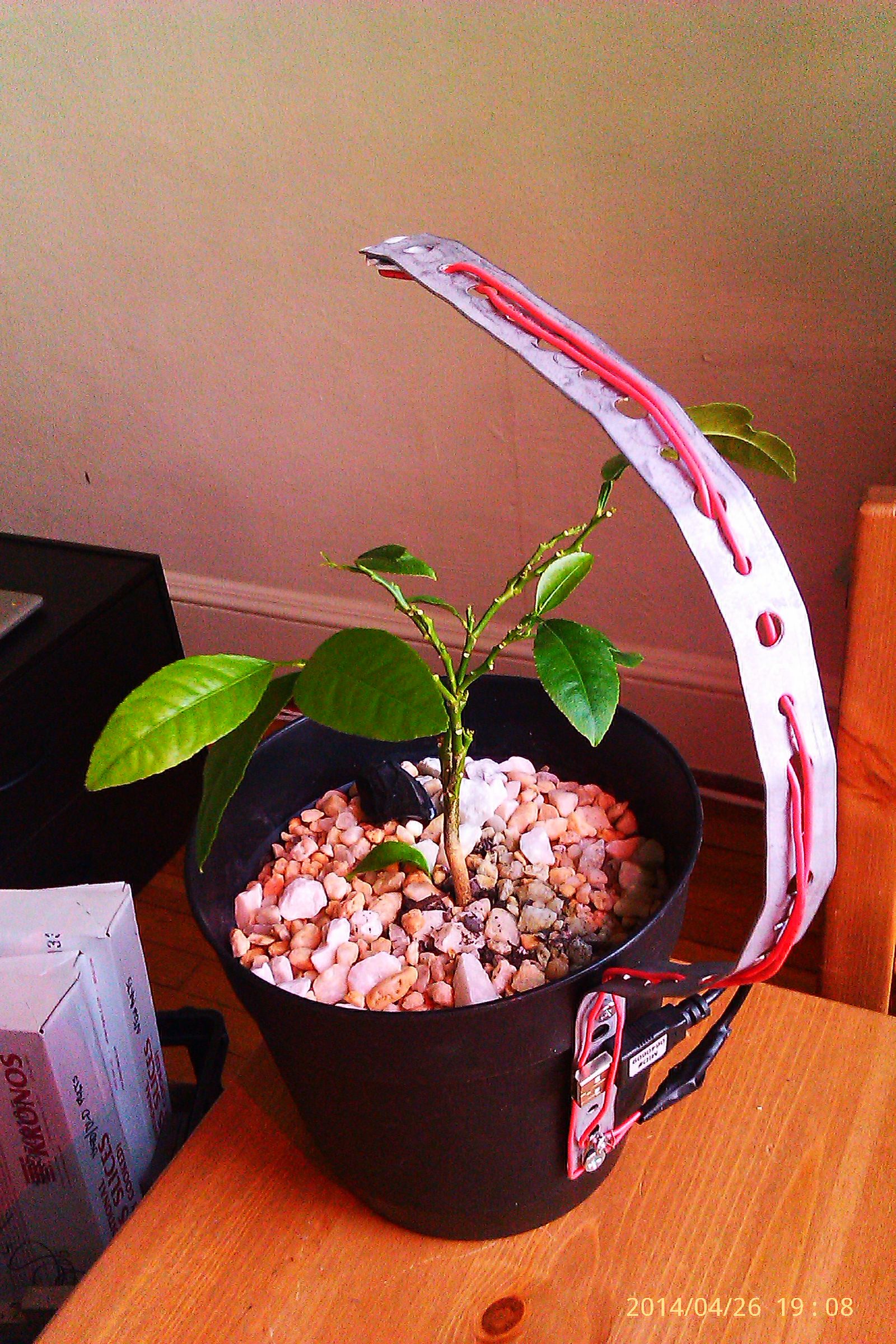 Battery Powered LED Grow Light 7 Steps Instructables