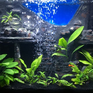 Make A 3d Aquarium Background 14 Steps With Pictures Instructables
