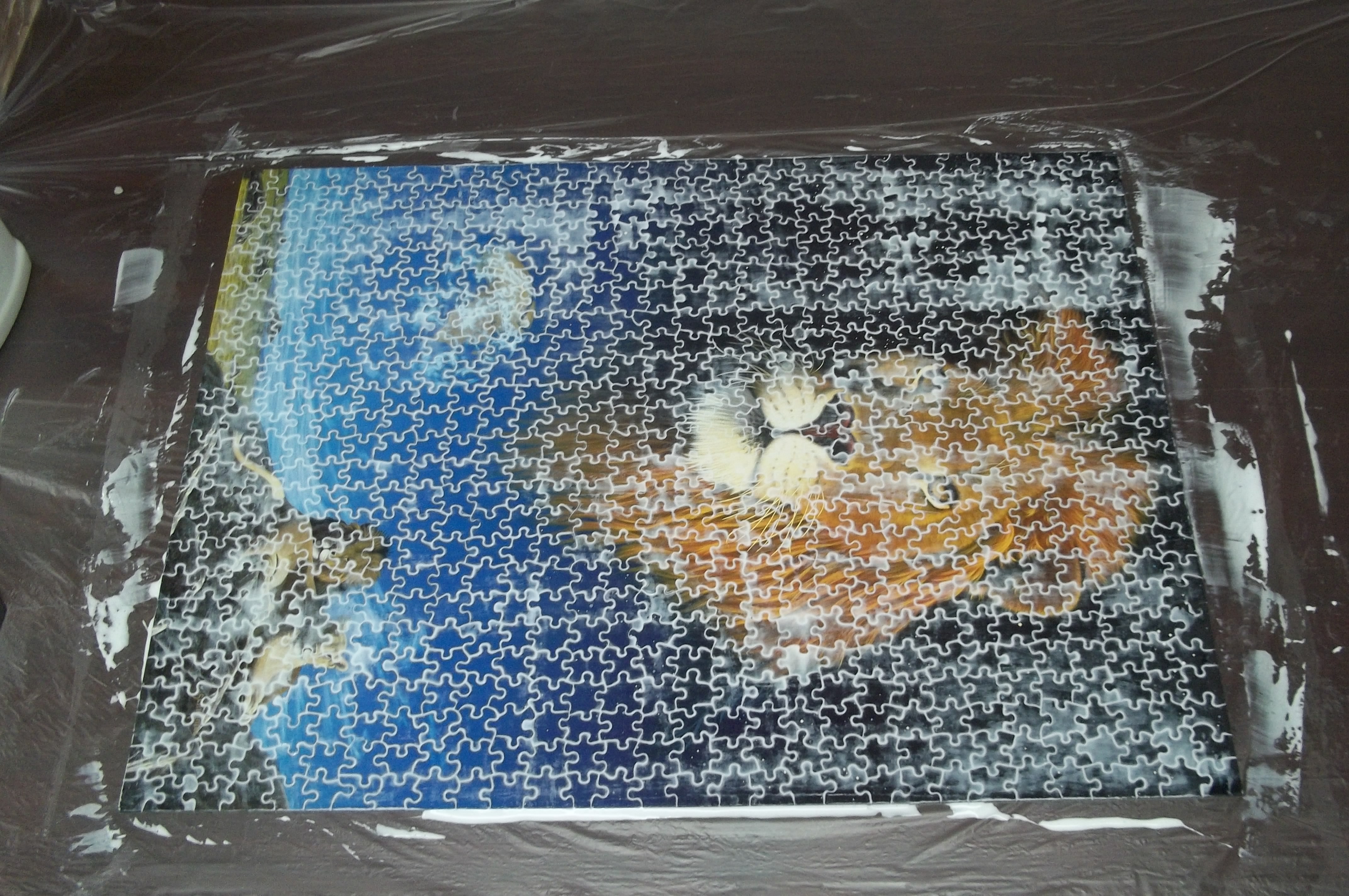 Cheap Way To Save A Puzzle 4 Steps Instructables