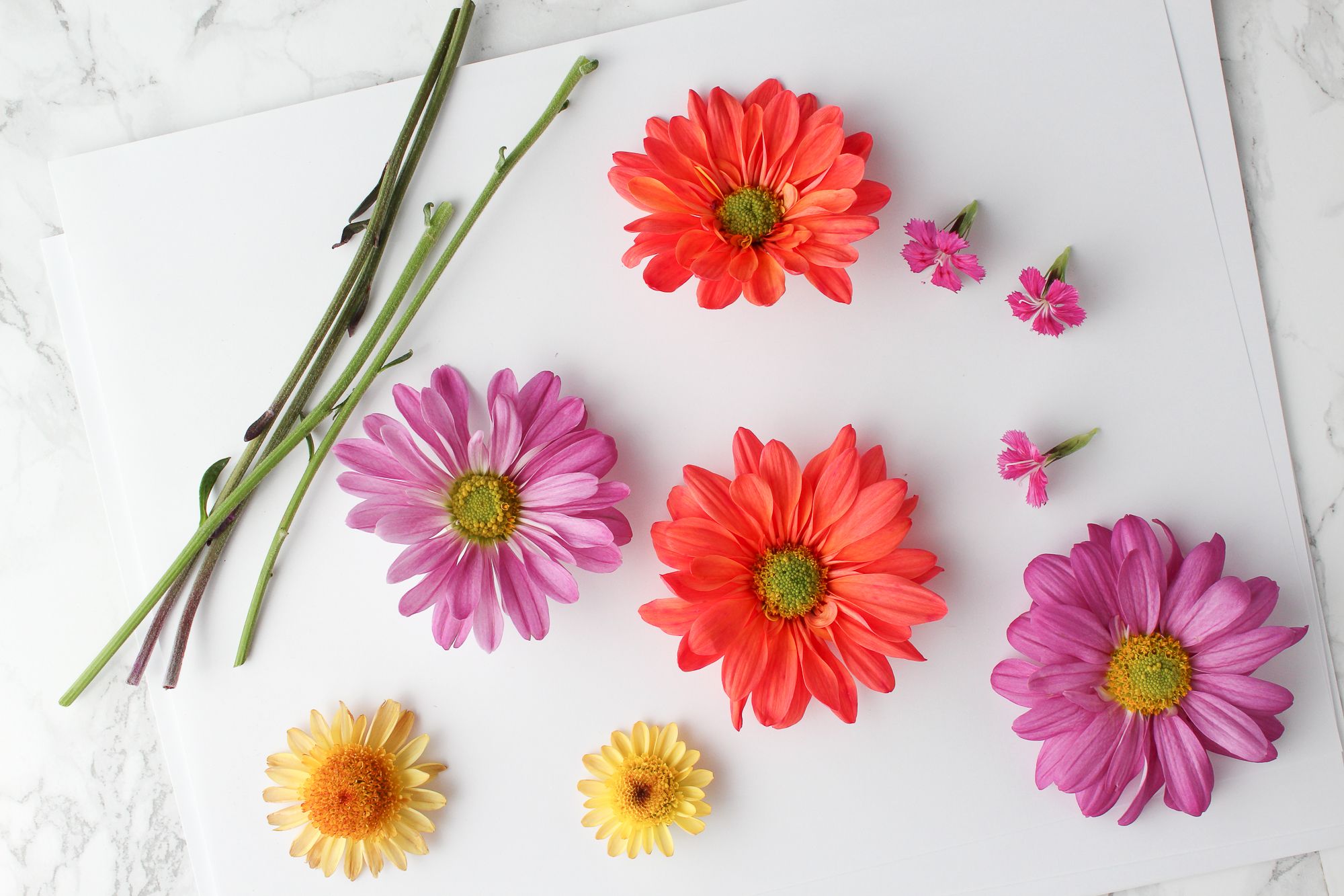 How to Press and Dry Flowers (and Leaves!) 8 Steps (with Pictures