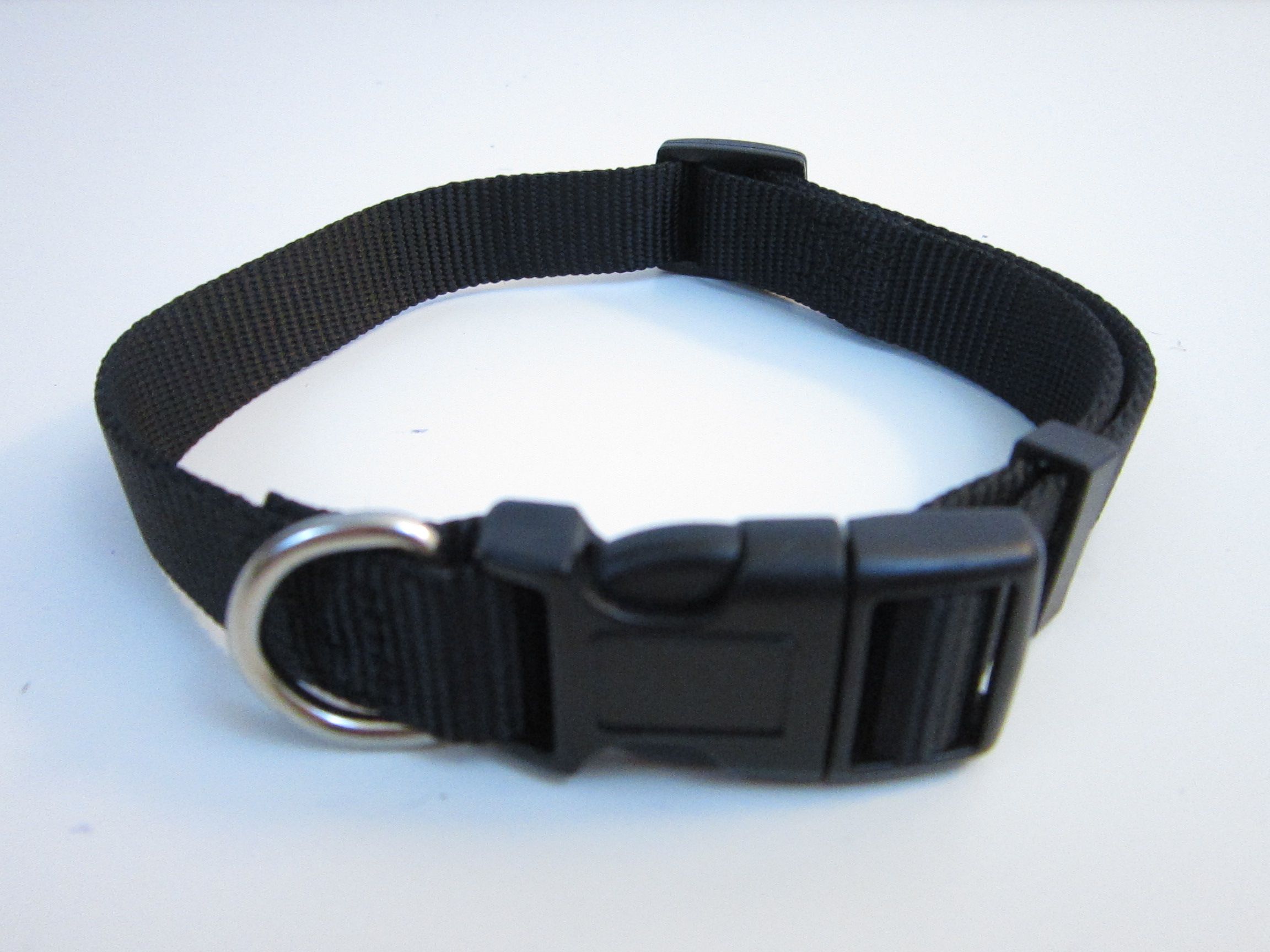 Upgrade a Dog Collar 6 Steps (with Pictures) Instructables