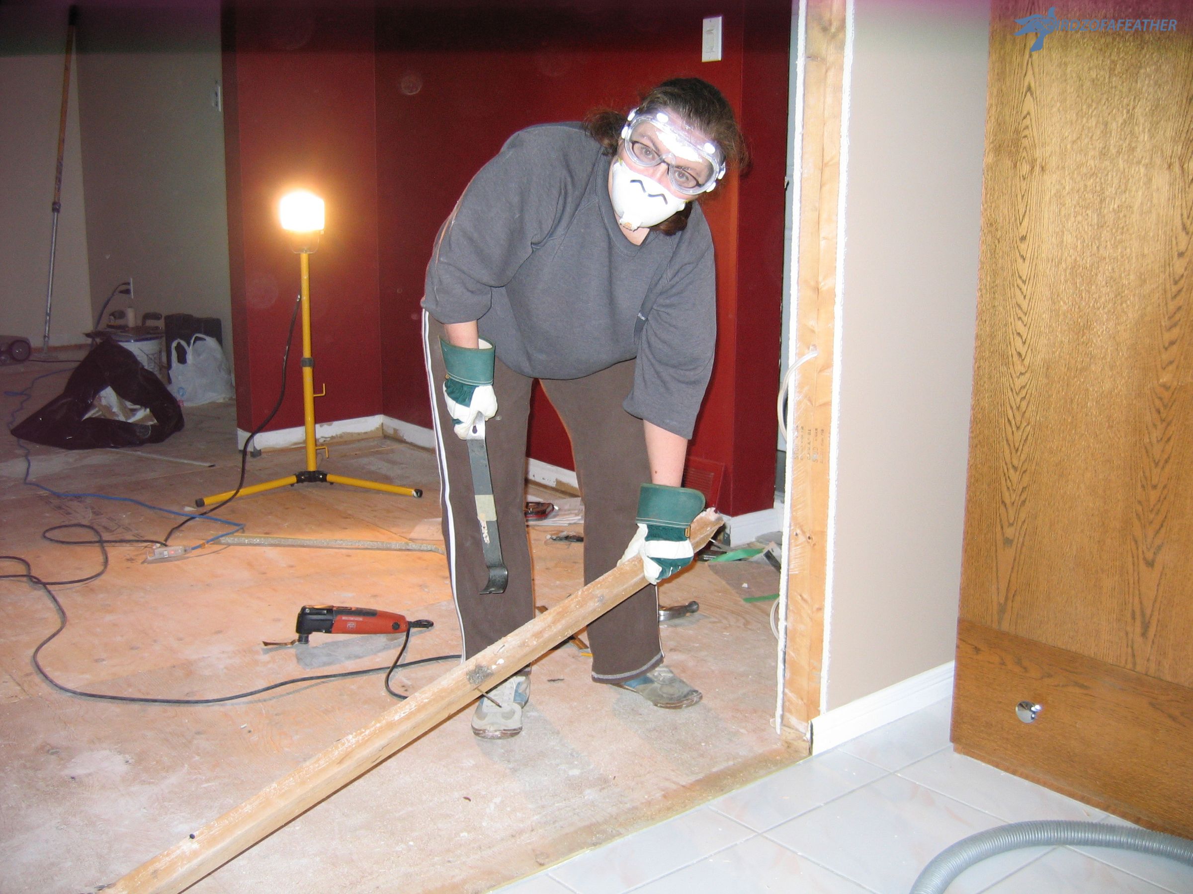 How to Remove a NonLoadbearing Wall to Bring More Light Into Your