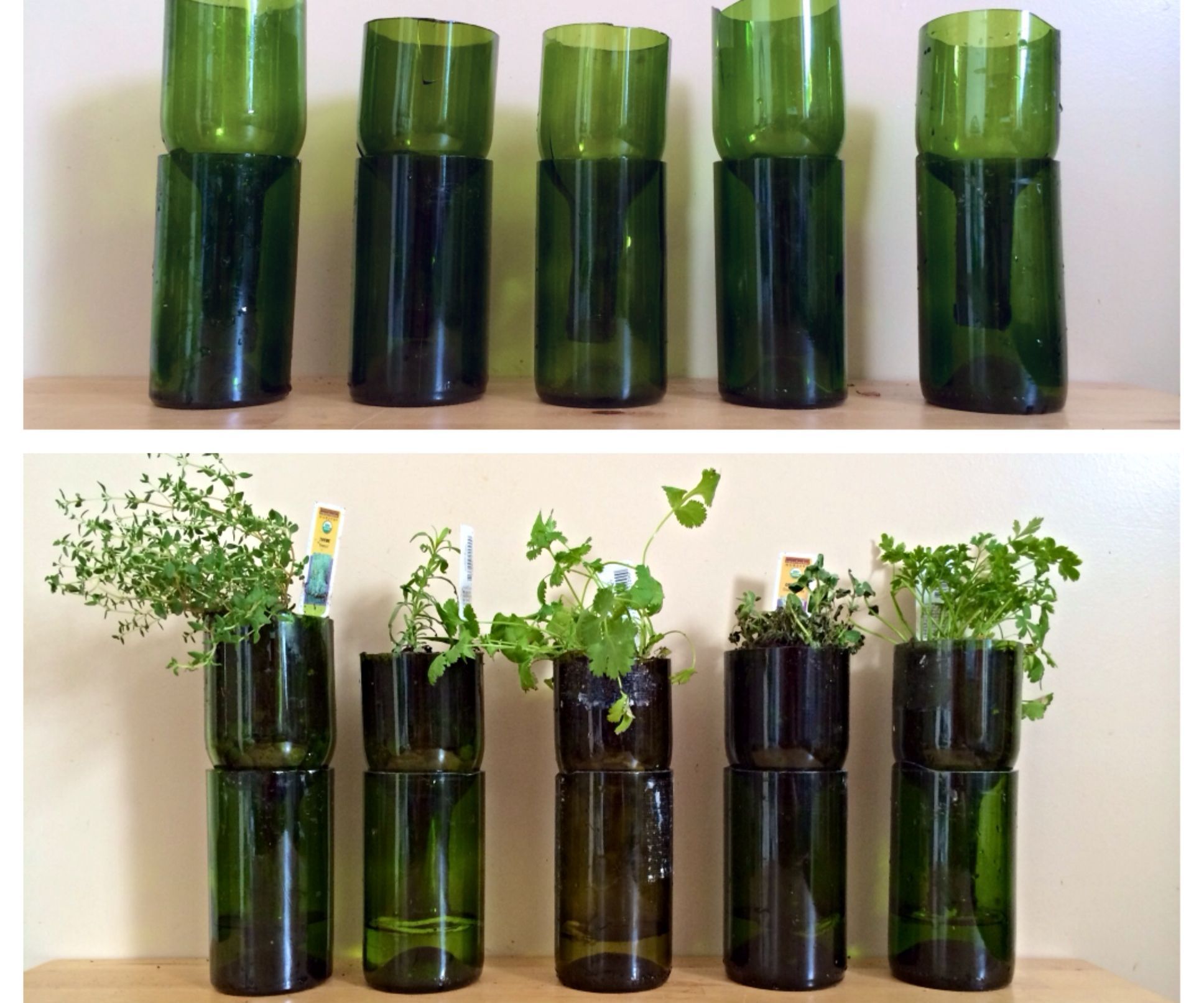 Upcycled Wine Bottles Into Indoor Herb Planters 3 Steps (with