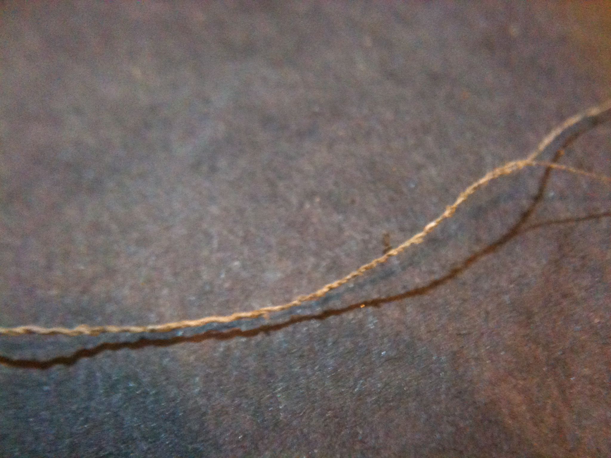 How to Make Spider Silk Thread 8 Steps (with Pictures) Instructables