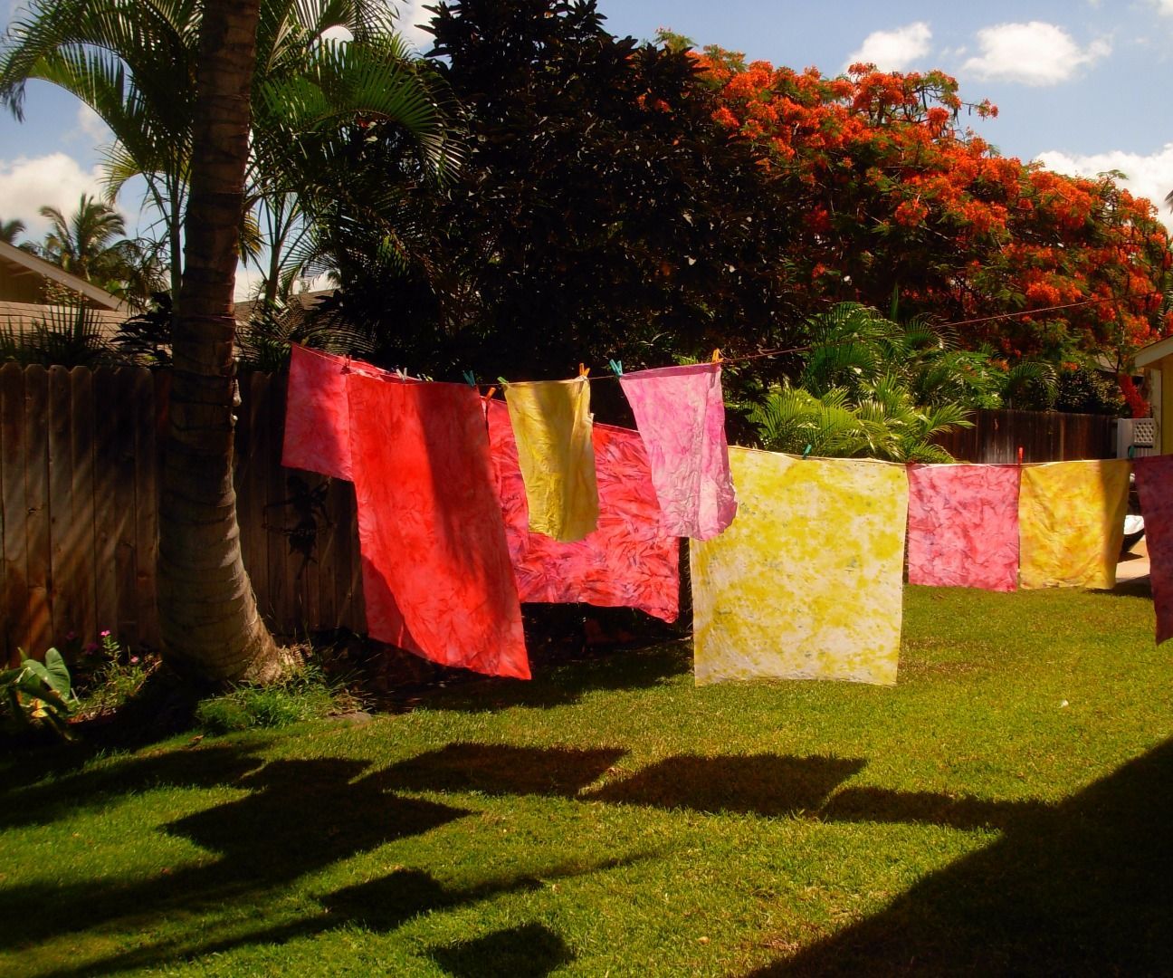 DIY guide for Creating Rainbows with Ice! with step-by-step instructions