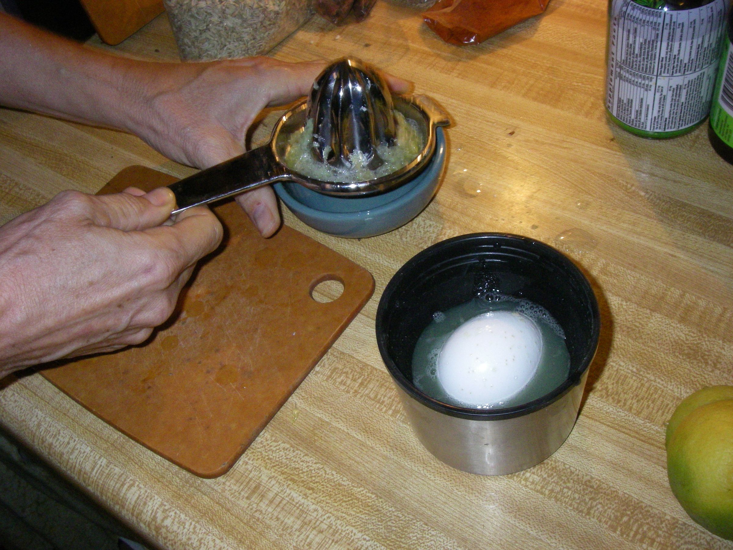 DIY Calcium Citrate Supplement 3 Steps (with Pictures) Instructables