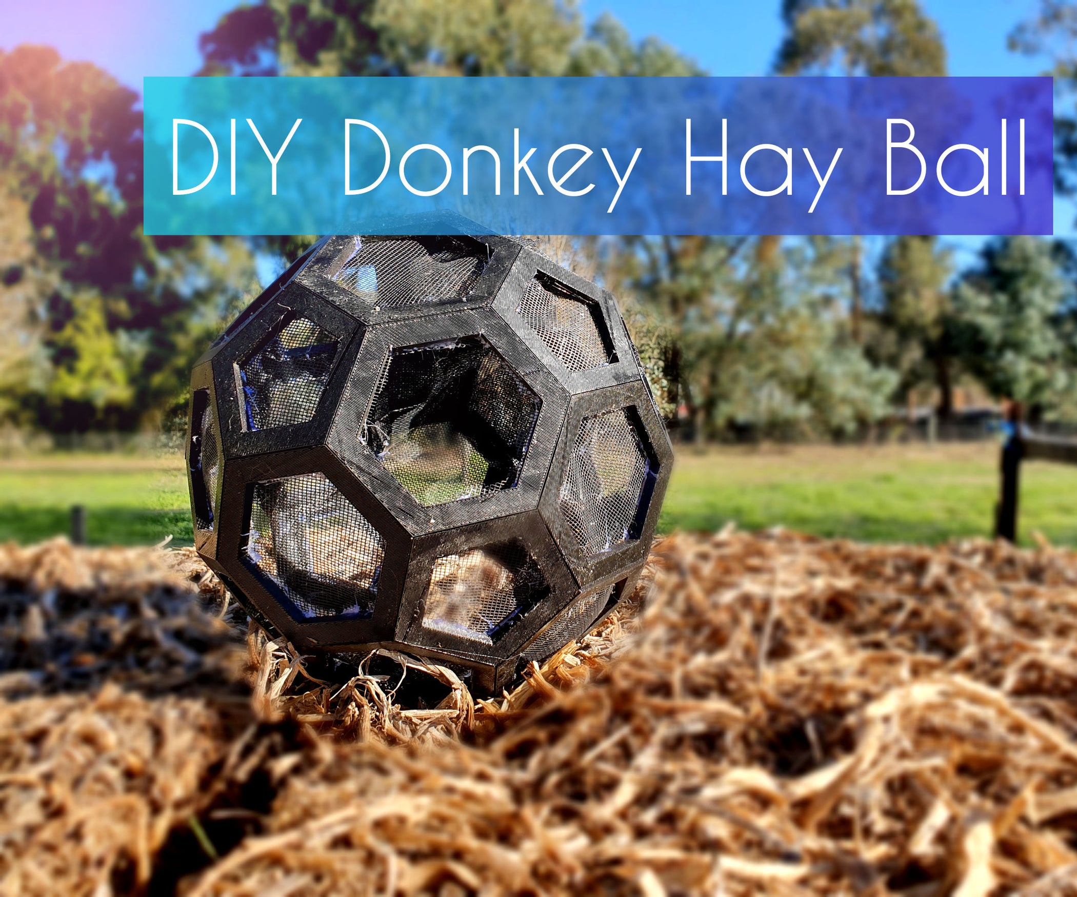 DIY Animal Feed Ball 3 Steps (with Pictures) Instructables