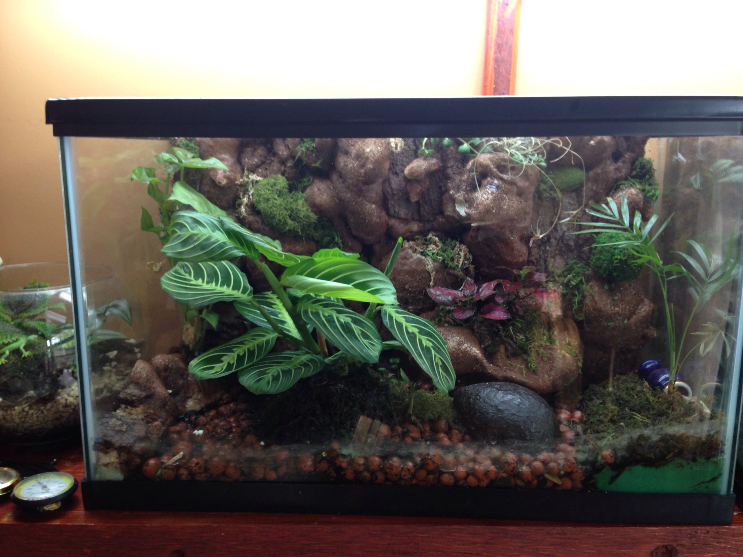 vivarium foam