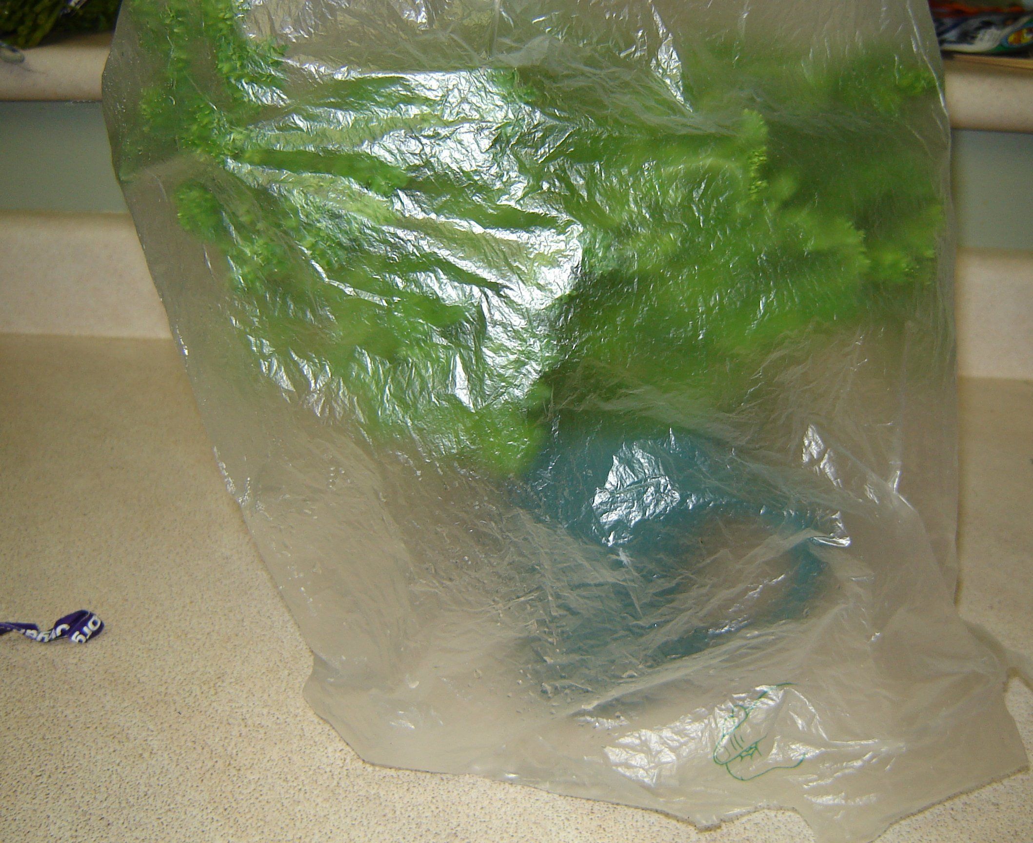 How to Keep Fresh Herbs Fresh 4 Steps (with Pictures) Instructables