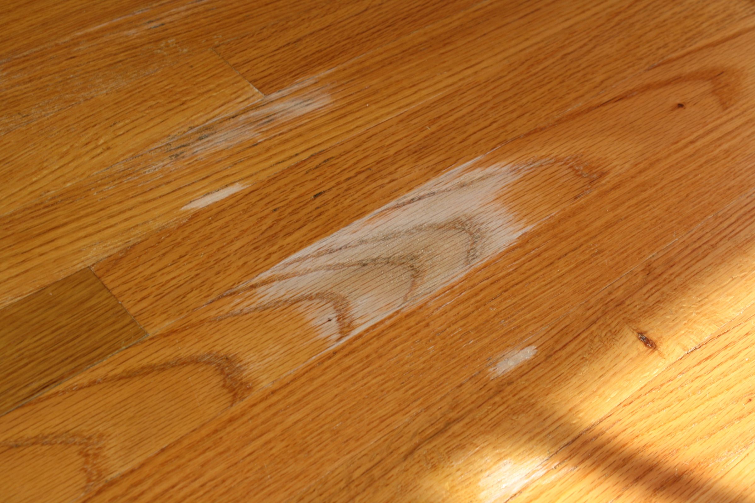 How to Clean Mold From a Wood Floor 4 Steps Instructables