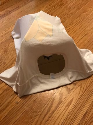 DIY Cat Tent