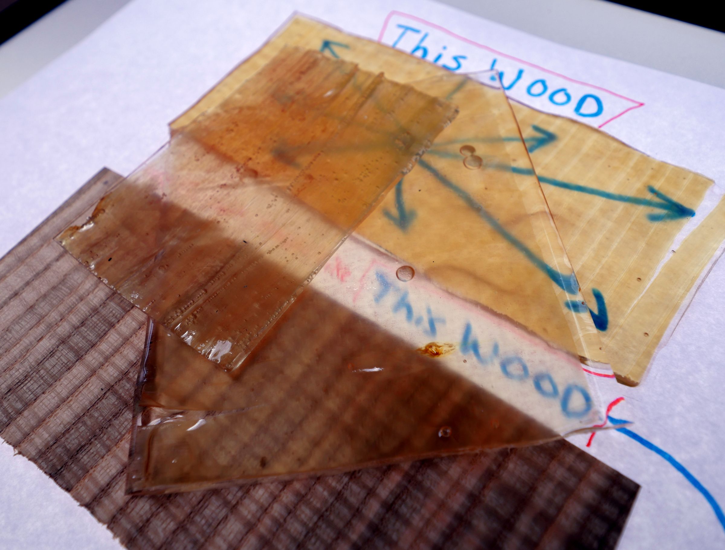 Transparent Wood : 10 Steps (with Pictures) - Instructables