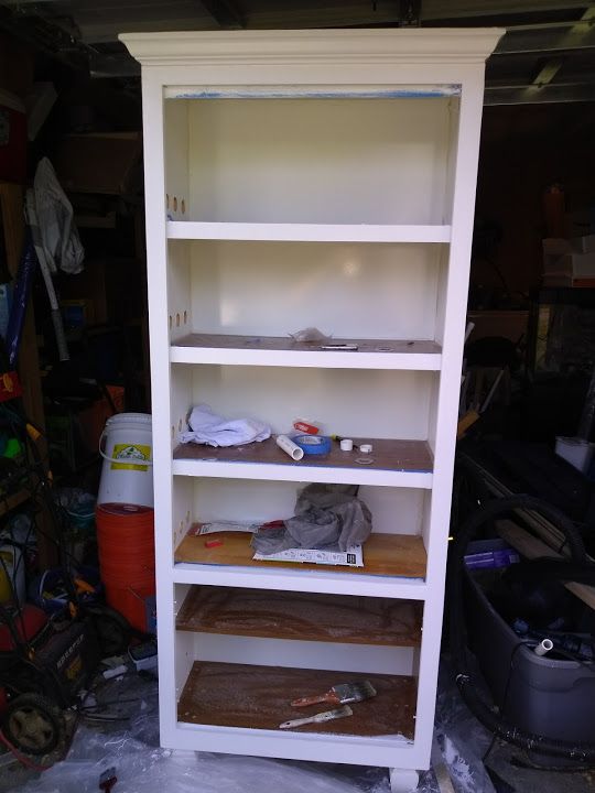 reptile shelving