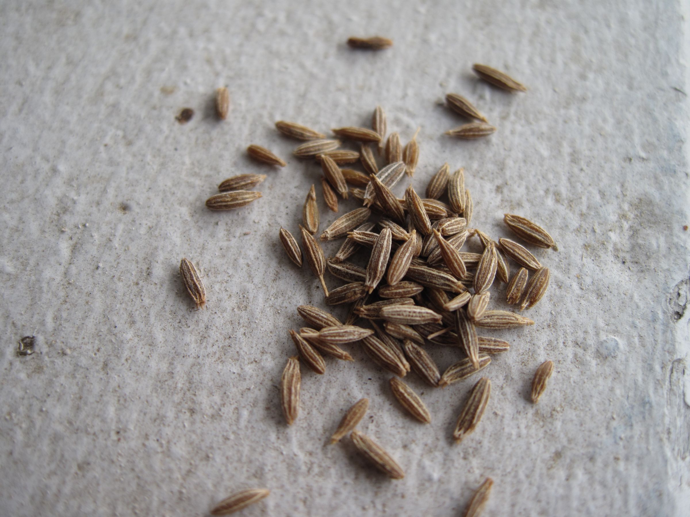 How to Use Herbs and Spices in Cooking 25 Steps (with Pictures) Instructables