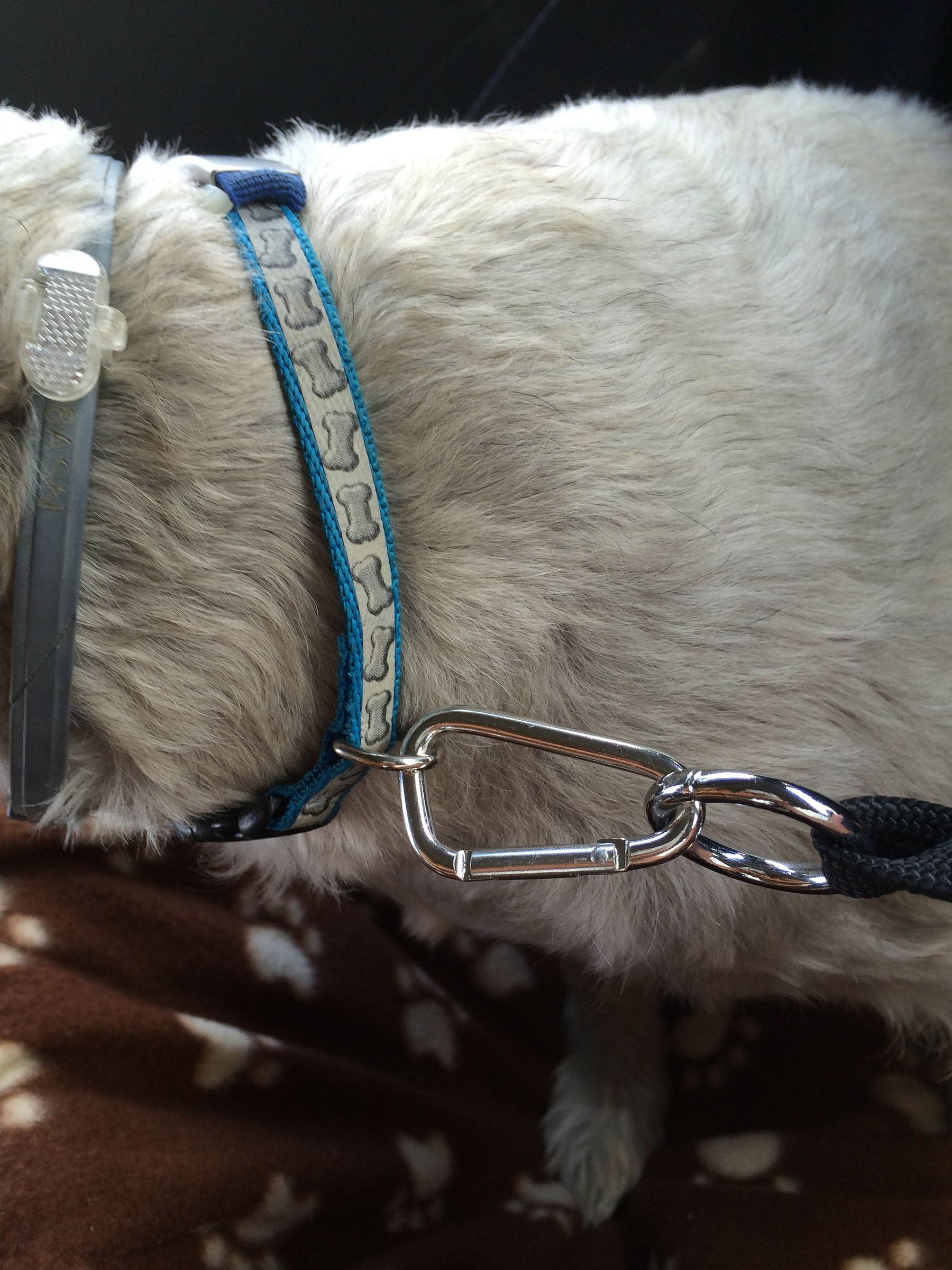 Cheap Safe Dog Car Seat 10 Steps (with Pictures) Instructables