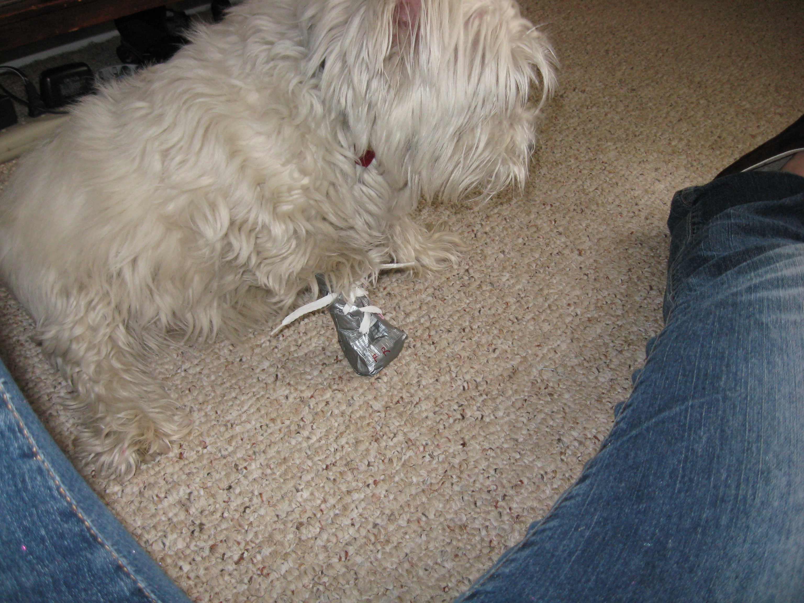 homemade dog snow boots