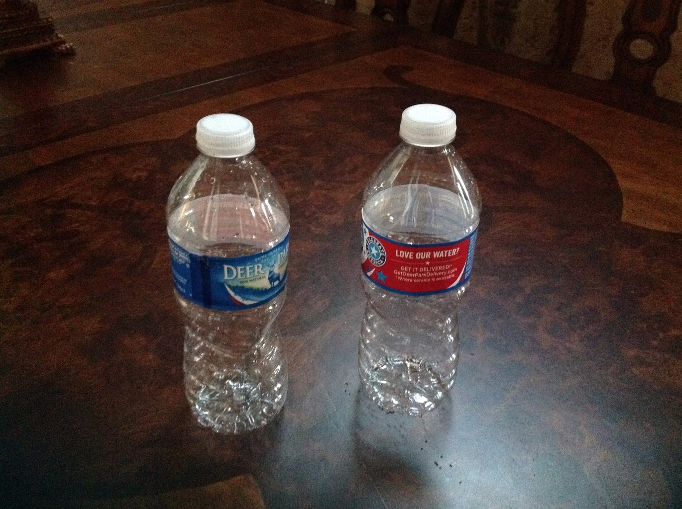 Water Bottle Terrarium : 5 Steps - Instructables