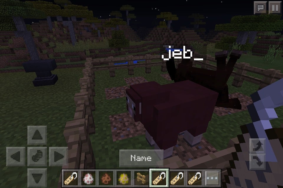 Minecraft Nametag Secrets 4 Steps Instructables Minecraft Nametag Secrets 4 Steps Instructables