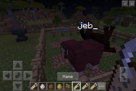Minecraft Nametag Secrets 4 Steps Instructables Minecraft Nametag Secrets 4 Steps Instructables