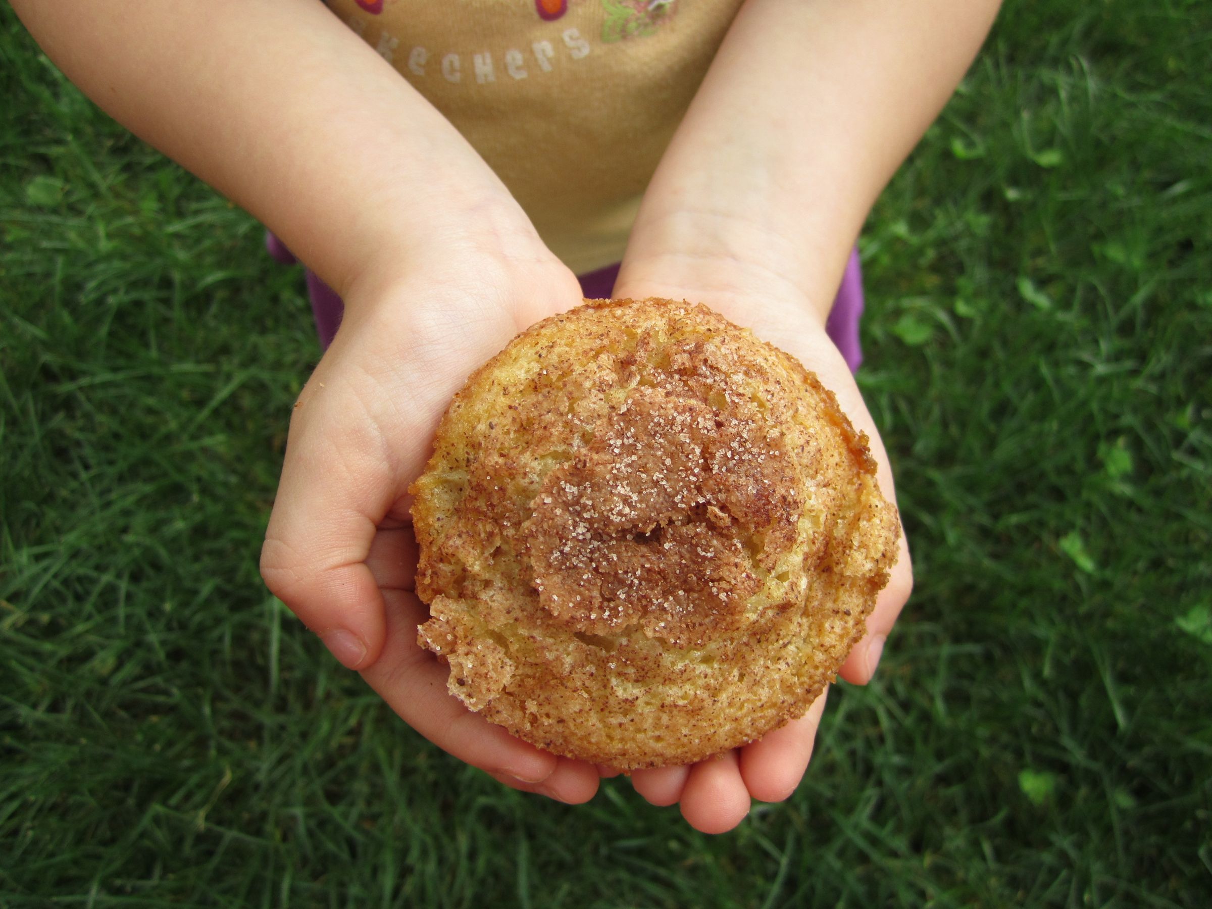 DIY guide for Rhubarb Cake with step-by-step instructions