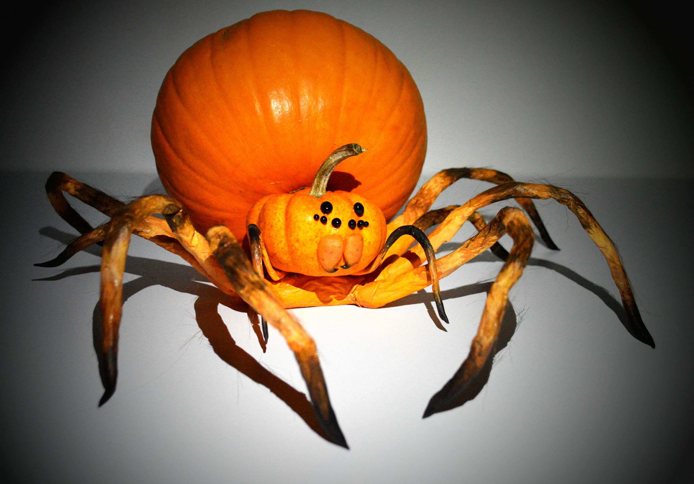 Spider Halloween Pumpkin 2022 Spider Pumpkin Jack O Lantern 16 Steps With Pictures Instructables