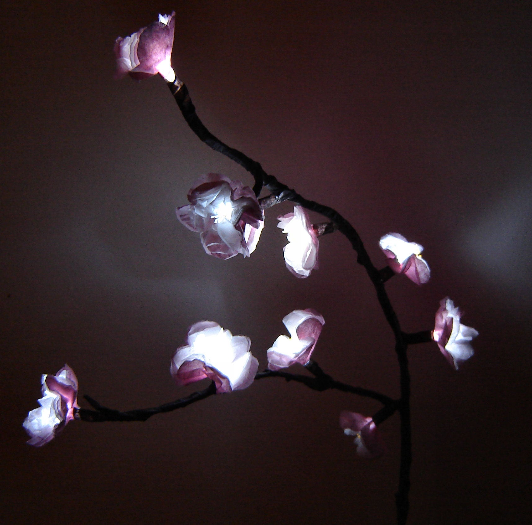 How to Make Cherry Blossom Lights 7 Steps (with Pictures) Instructables