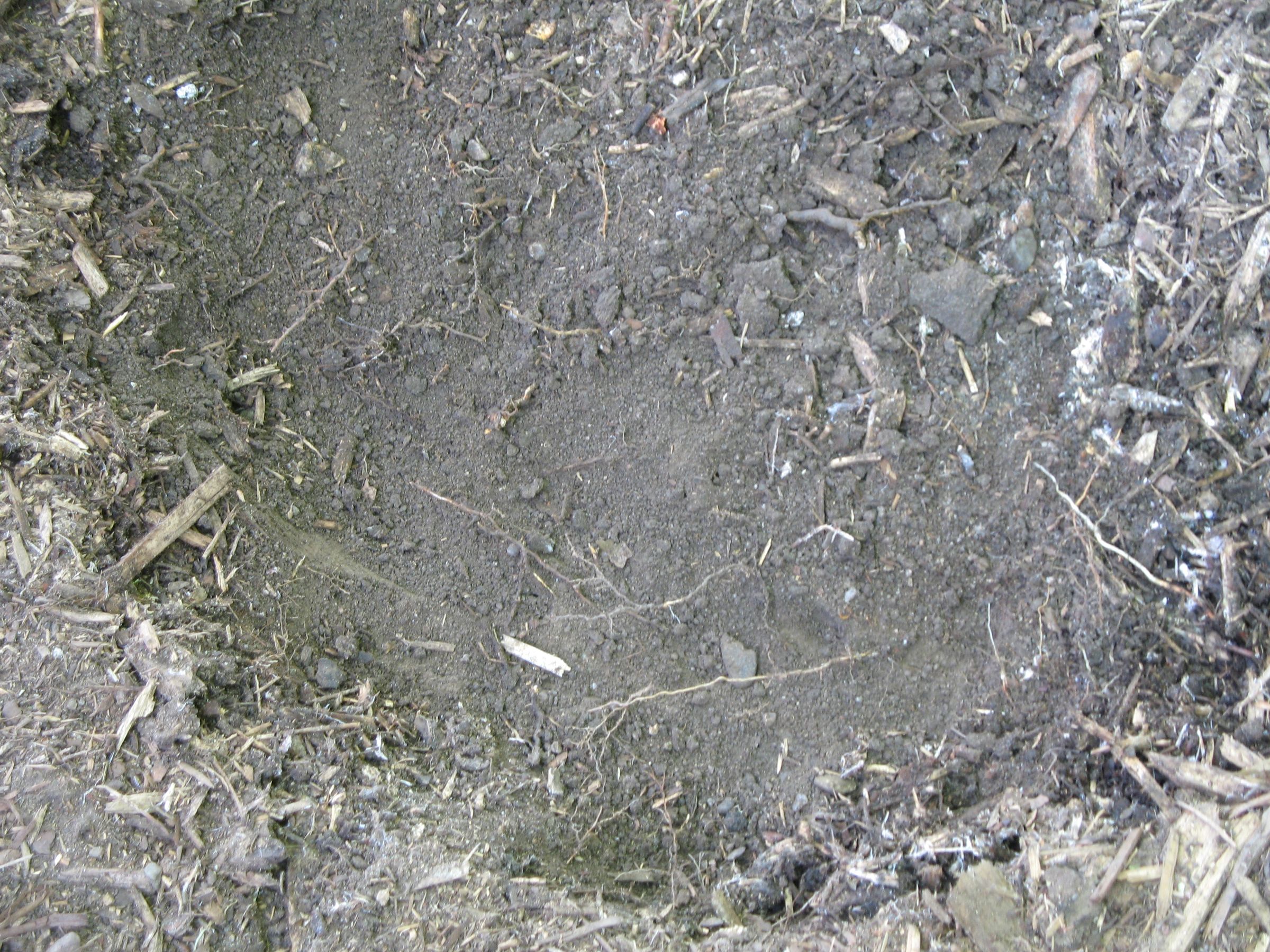 How to Make a Dry Pond 8 Steps Instructables