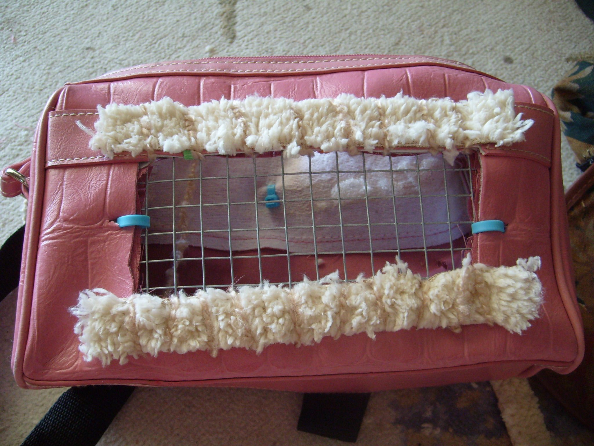 DIY Recycled Small Pet Carrier Backpack 8 Steps (with Pictures