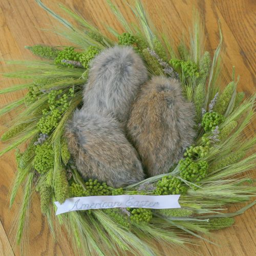 when bunnies lay eggs | american easter (decorative art) DIY Project DIY Project Image