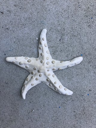 Featured image of post Air Dry Easy Clay Animal Sculptures / Air dry clay allows you to skip the kiln completely, cutting down on the amount of time it takes to complete while you can create mixed media pieces with all kinds of clay, i find it easier for students when since air dry clay isn't going into the kiln, students can add mixed media elements as they go.