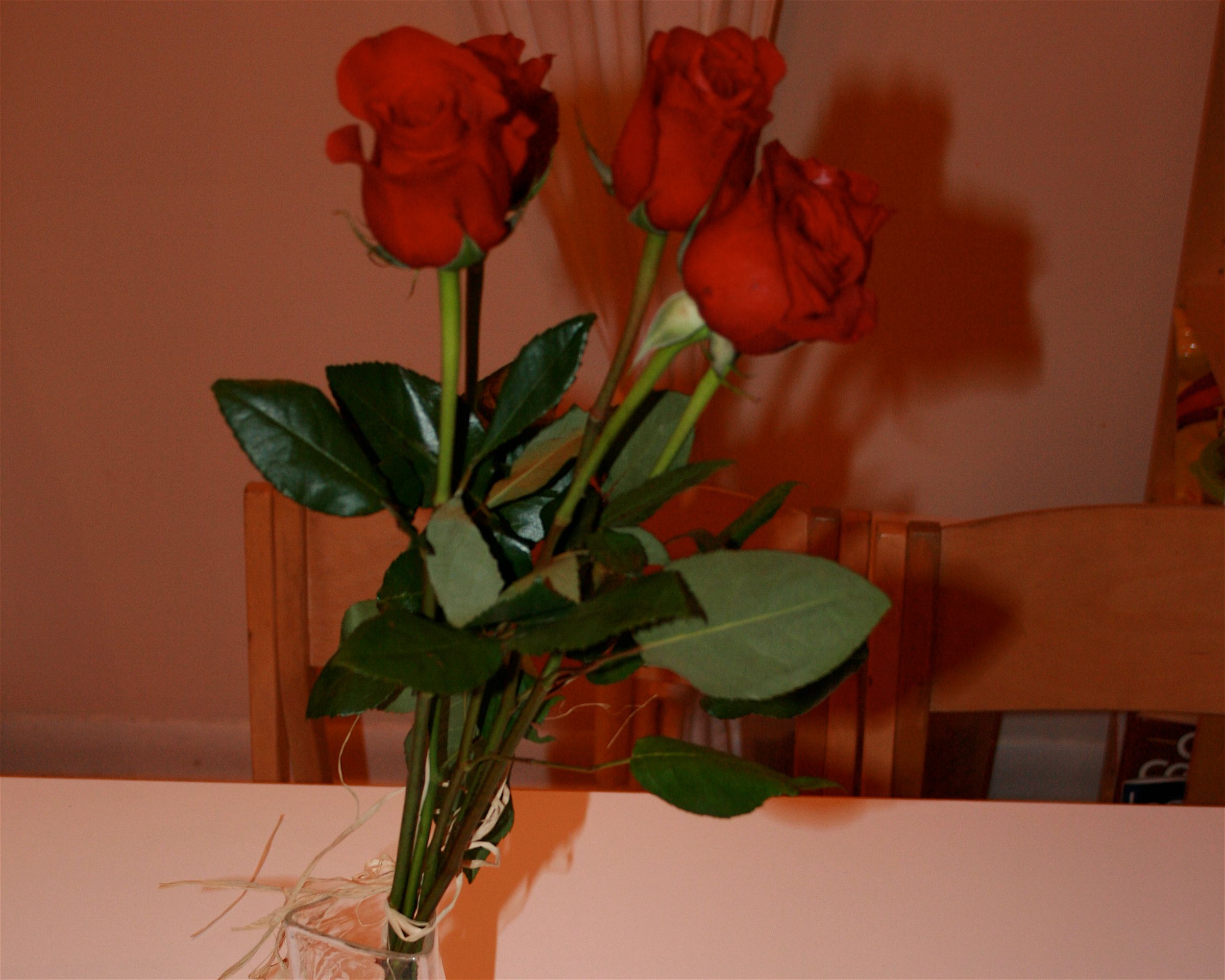 Edible Chocolatecovered Roses 5 Steps (with Pictures) Instructables