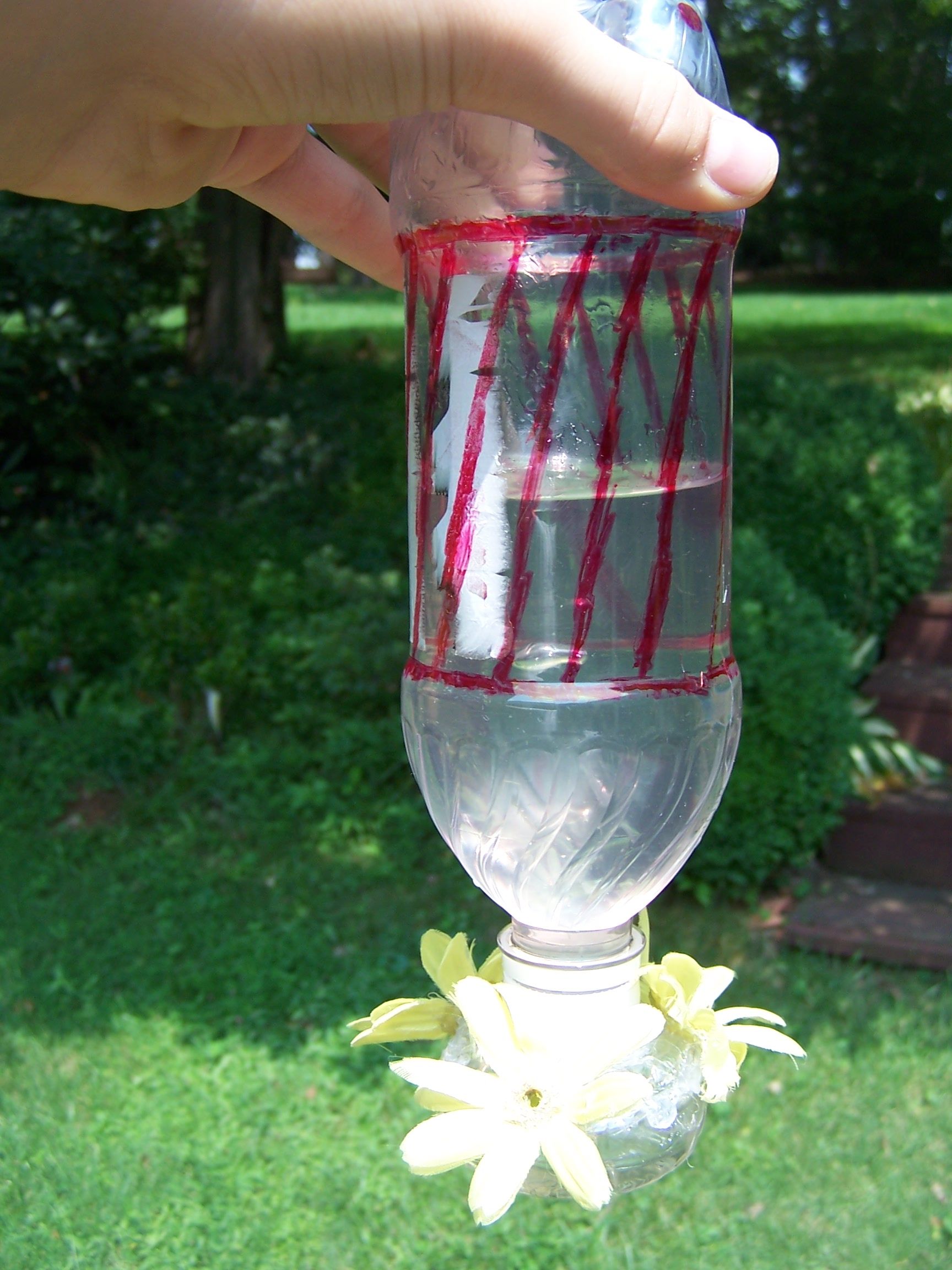 Hummingbirds Feeder, Food, & More! 11 Steps (with Pictures
