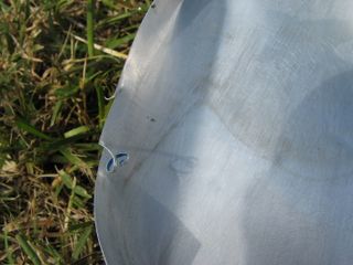 IMG_0525.jpg